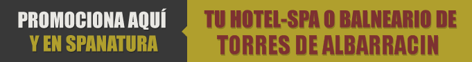 Tiendas en Torres de Albarracin